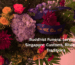 Buddhist Funeral Services in Singapore